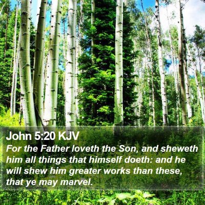 John 5:20 KJV Bible Verse Image