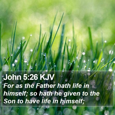 John 5:26 KJV Bible Verse Image
