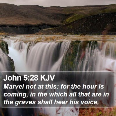 John 5:28 KJV Bible Verse Image