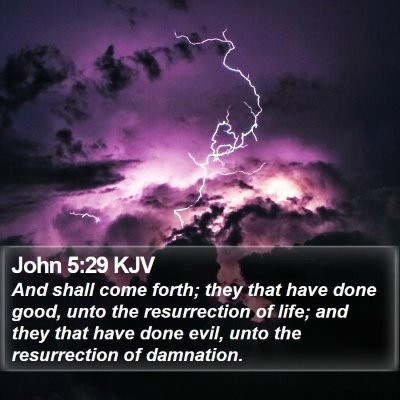 John 5:29 KJV Bible Verse Image
