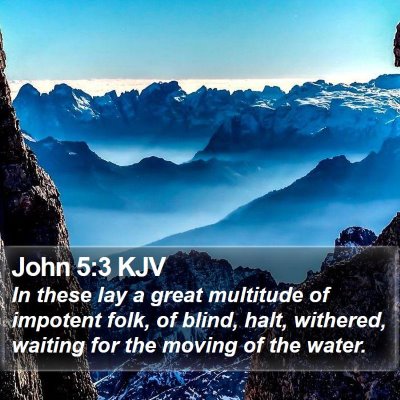 John 5:3 KJV Bible Verse Image