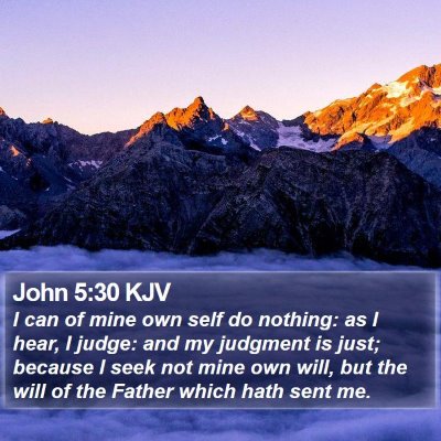 John 5:30 KJV Bible Verse Image