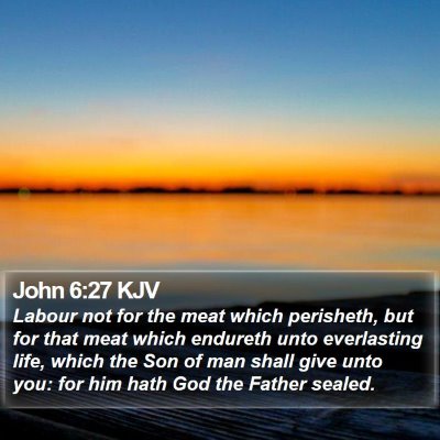 John 6:27 KJV Bible Verse Image