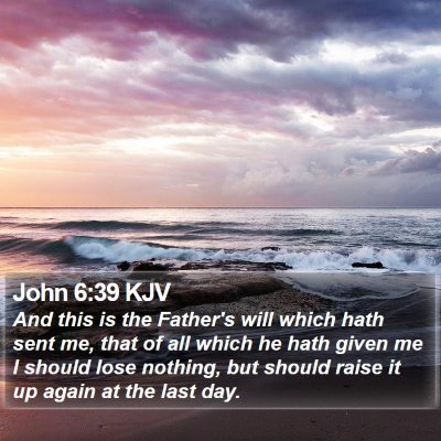 John 6:39 KJV Bible Verse Image