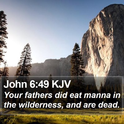 John 6:49 KJV Bible Verse Image