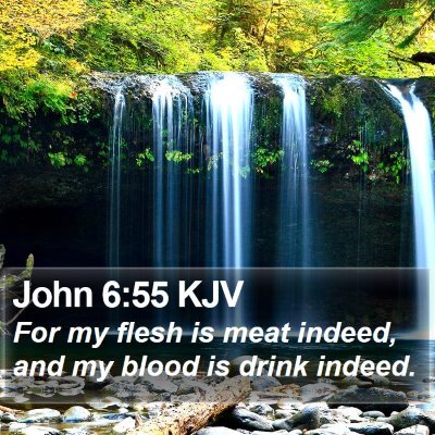 John 6:55 KJV Bible Verse Image