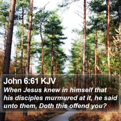 John 6:61 KJV Bible Verse Image