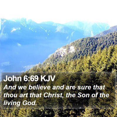 John 6:69 KJV Bible Verse Image