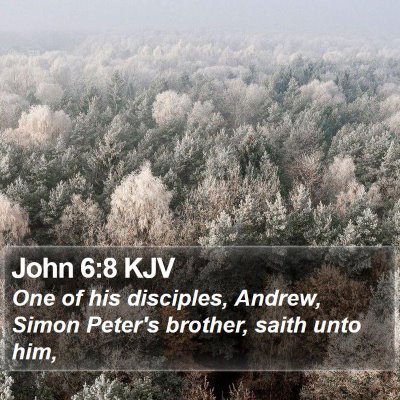 John 6:8 KJV Bible Verse Image
