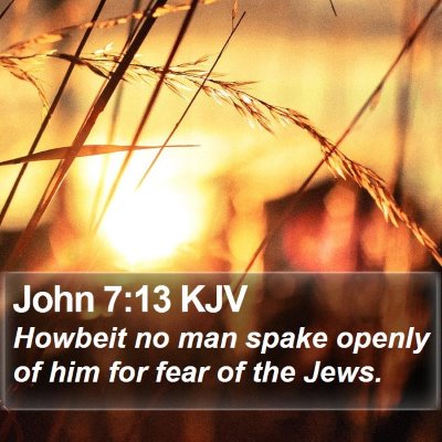 John 7:13 KJV Bible Verse Image