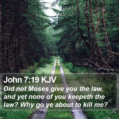 John 7:19 KJV Bible Verse Image