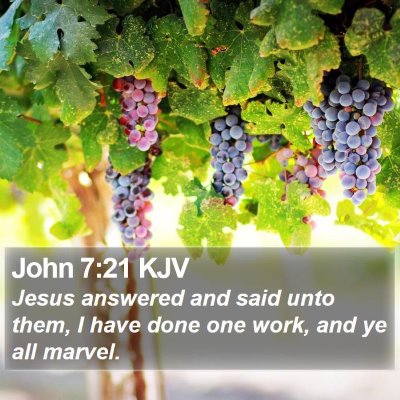 John 7:21 KJV Bible Verse Image