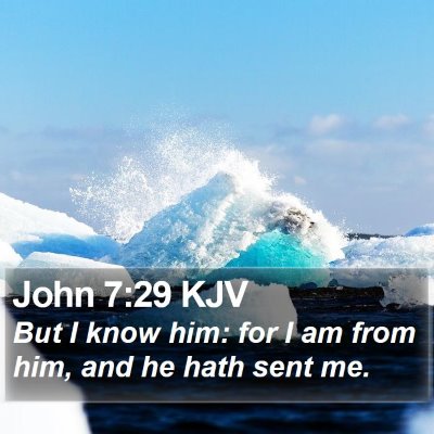 John 7:29 KJV Bible Verse Image