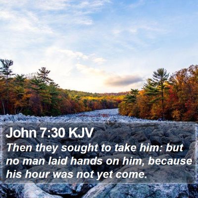 John 7:30 KJV Bible Verse Image