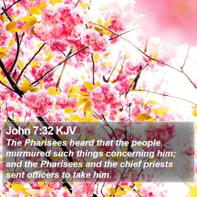 John 7:32 KJV Bible Verse Image