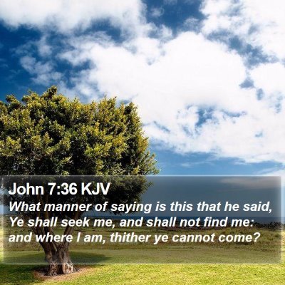 John 7:36 KJV Bible Verse Image