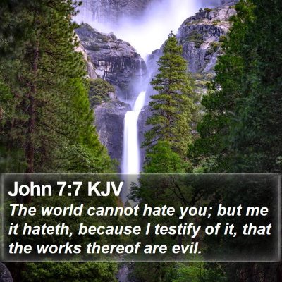 John 7:7 KJV Bible Verse Image