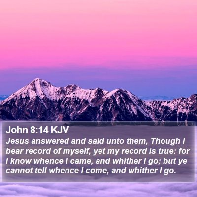 John 8:14 KJV Bible Verse Image