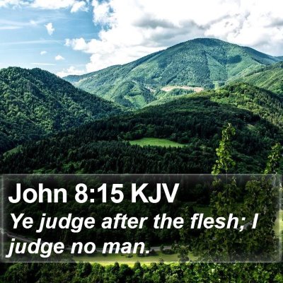 John 8:15 KJV Bible Verse Image