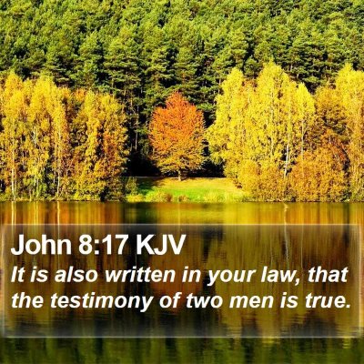 John 8:17 KJV Bible Verse Image