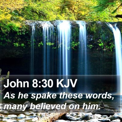 John 8:30 KJV Bible Verse Image