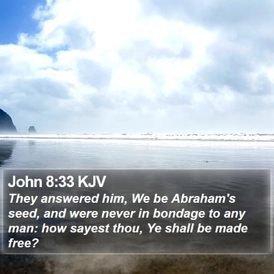 John 8:33 KJV Bible Verse Image