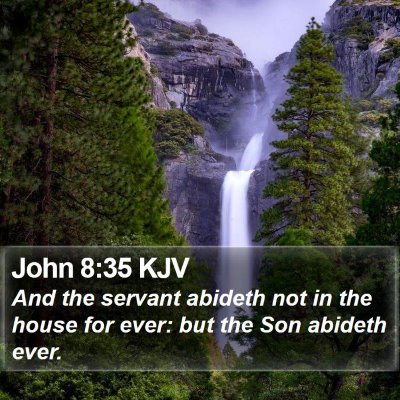 John 8:35 KJV Bible Verse Image