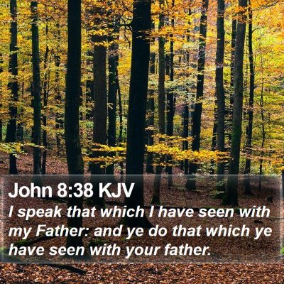 John 8:38 KJV Bible Verse Image