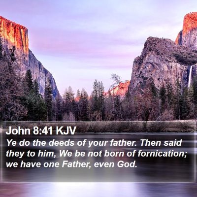 John 8:41 KJV Bible Verse Image