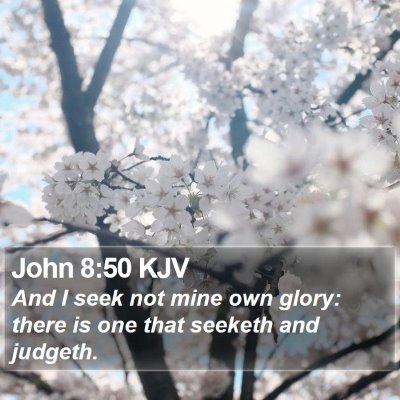 John 8:50 KJV Bible Verse Image