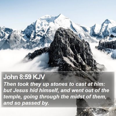 John 8:59 KJV Bible Verse Image