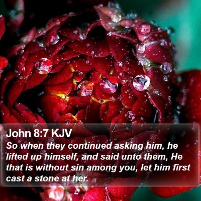 John 8:7 KJV Bible Verse Image