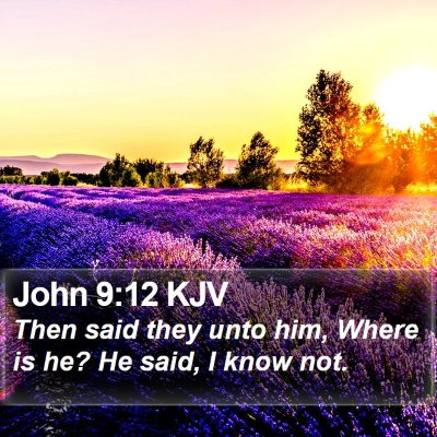 John 9:12 KJV Bible Verse Image