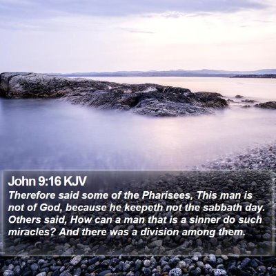 John 9:16 KJV Bible Verse Image