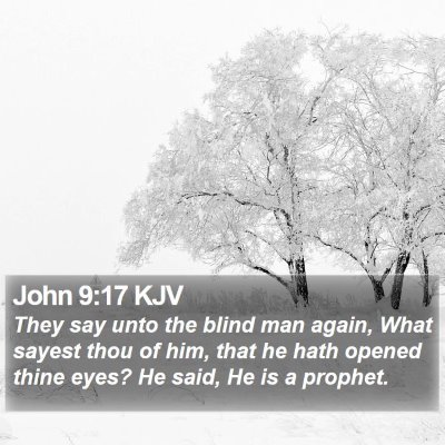 John 9:17 KJV Bible Verse Image