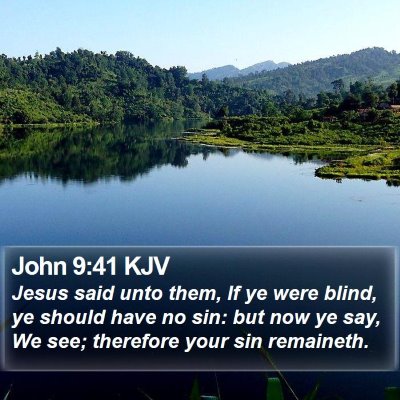 John 9:41 KJV Bible Verse Image