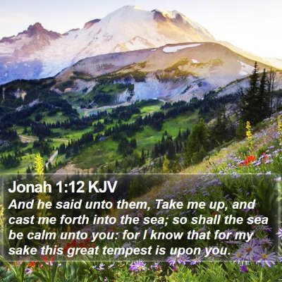Jonah 1:12 KJV Bible Verse Image