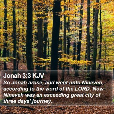 Jonah 3:3 KJV Bible Verse Image