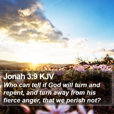 Jonah 3:9 KJV Bible Verse Image