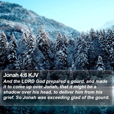 Jonah 4:6 KJV Bible Verse Image