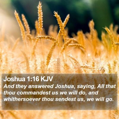 Joshua 1:16 KJV Bible Verse Image