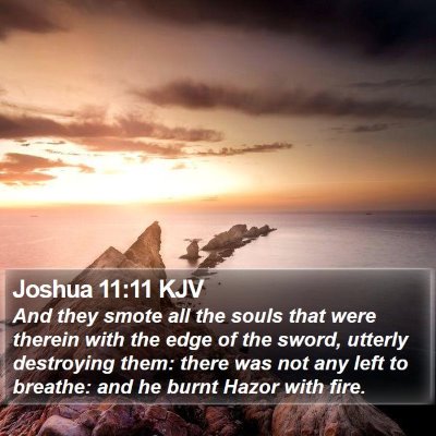 Joshua 11:11 KJV Bible Verse Image