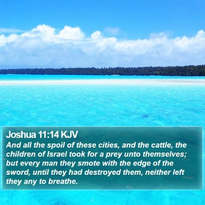 Joshua 11:14 KJV Bible Verse Image