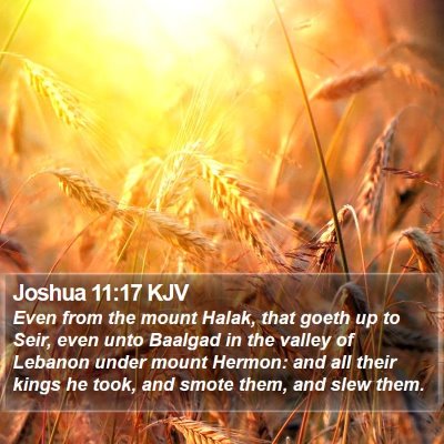 Joshua 11:17 KJV Bible Verse Image
