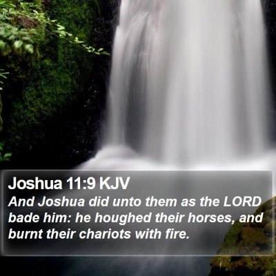 Joshua 11:9 KJV Bible Verse Image