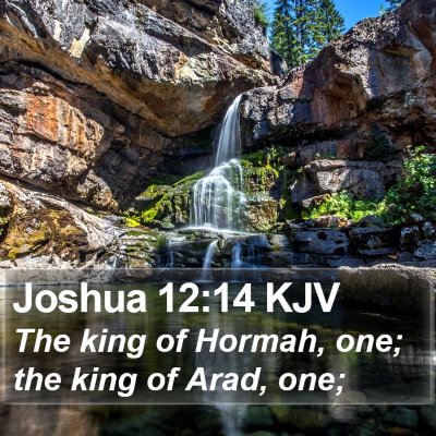 Joshua 12:14 KJV Bible Verse Image