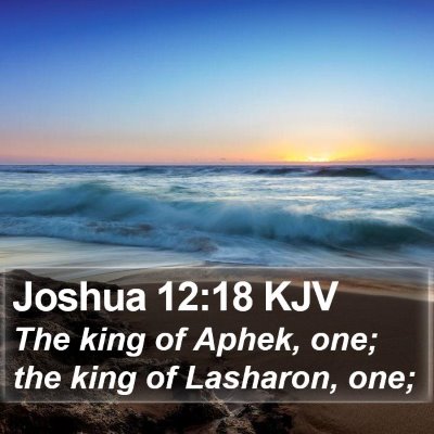 Joshua 12:18 KJV Bible Verse Image