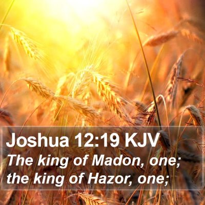 Joshua 12:19 KJV Bible Verse Image
