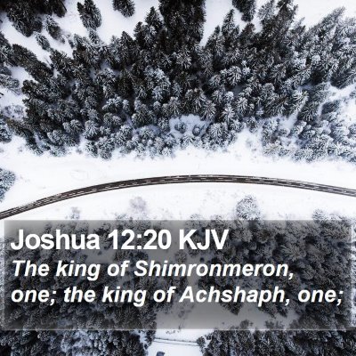 Joshua 12:20 KJV Bible Verse Image