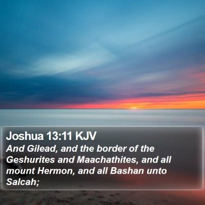 Joshua 13:11 KJV Bible Verse Image